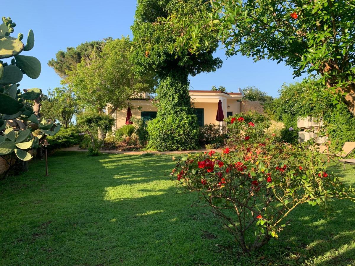 Villino Eleonora Bed & Breakfast Parghelia Bagian luar foto
