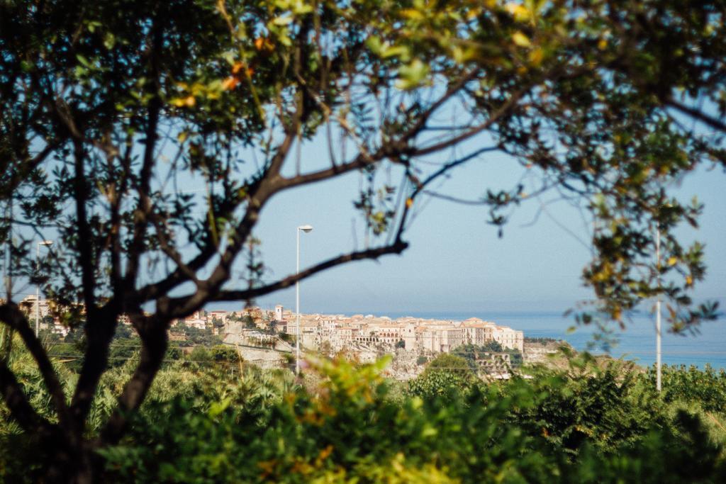 Villino Eleonora Bed & Breakfast Parghelia Bagian luar foto