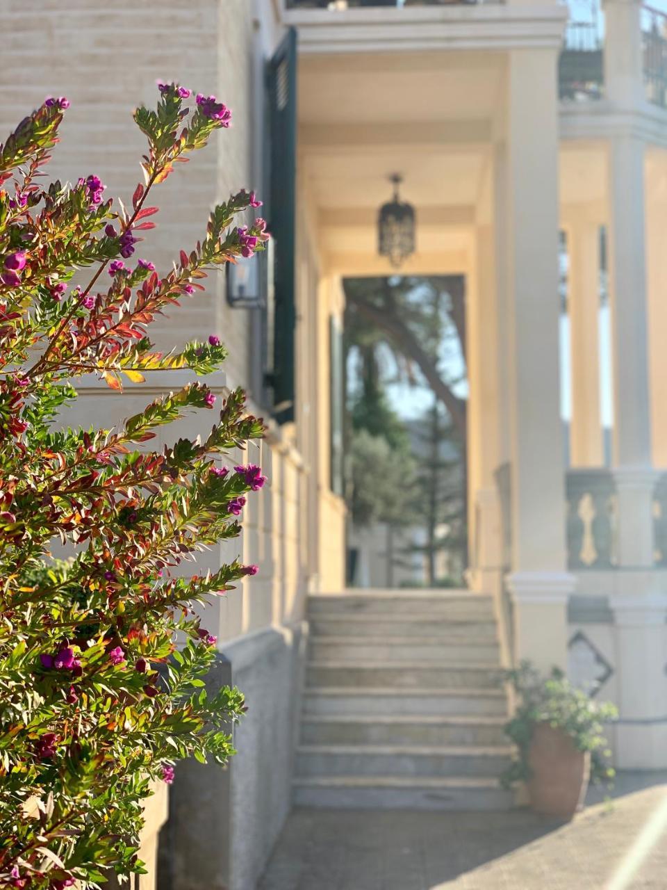 Villino Eleonora Bed & Breakfast Parghelia Bagian luar foto