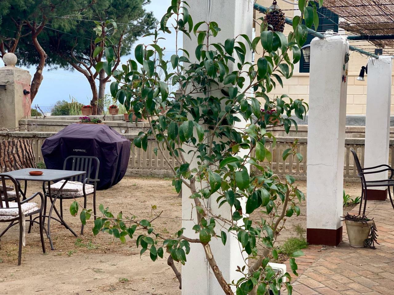 Villino Eleonora Bed & Breakfast Parghelia Bagian luar foto