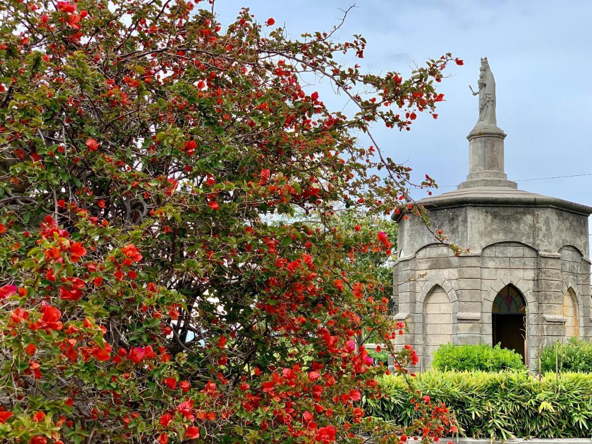 Villino Eleonora Bed & Breakfast Parghelia Bagian luar foto